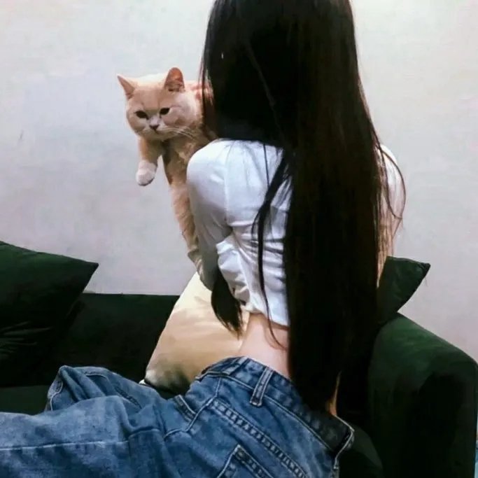 贝尔法斯特